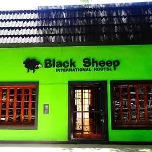 Black Sheep International Hostel